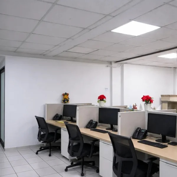 coworking en Cuernavaca Proyecto 9 Business Center con escritorios compartidos y mobiliario ejecutivo